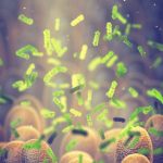 Crean por casualidad un antibiótico capaz de eliminar bacterias consideradas "intratables"