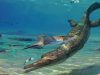 Descubren un ancestro de los cocodrilos que vivía en el mar hace 185 millones de años