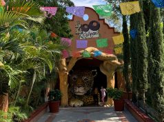 Descubren venta ilegal, falsos intercambios y hasta sacrificios en un zoológico mexicano