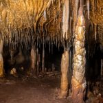 Hallan una cueva en España con zarpazos de osos gigantes