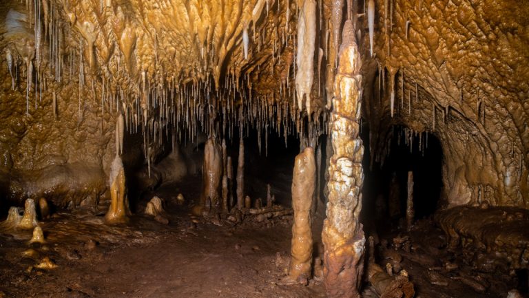 Hallan una cueva en España con zarpazos de osos gigantes