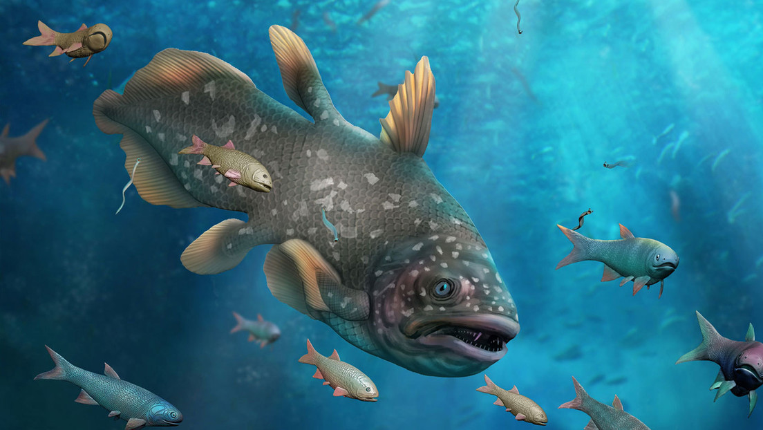 La 'Gran Muerte' puede ser repensada por unos fósiles marinos chinos excepcionalmente conservados