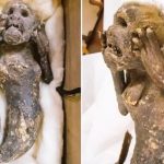 Resuelven el misterio de la "sirena" momificada 'pescada' en Japón