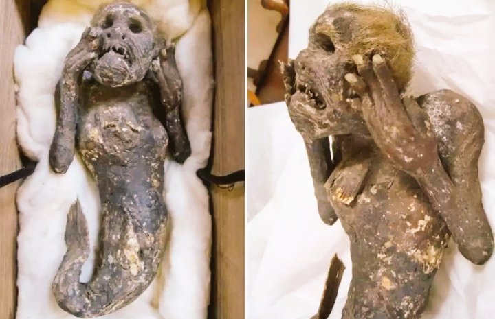 Resuelven el misterio de la "sirena" momificada 'pescada' en Japón