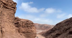 Un estudio realizado en Atacama muestra que la tecnología enviada a Marte no es suficiente para identificar rastros de vida