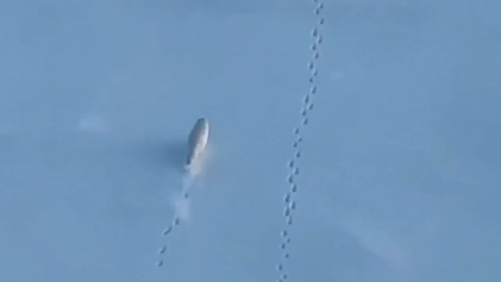 Zorros árticos escapan del camino de un rompehielos nuclear ruso