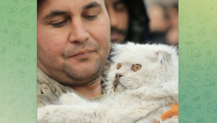 Terremoto en Turquía