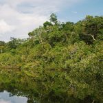 Brasil gana 72 kilómetros cuadrados de territorio tras revisar sus fronteras