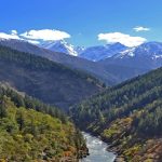 Captan a tres 'fantasmas de las montañas' deambulando por una cordillera en la India (VIDEO)