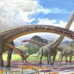 Descubren el fósil de dinosaurio con el cuello más largo conocido