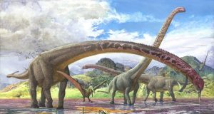 Descubren el fósil de dinosaurio con el cuello más largo conocido