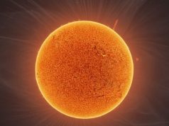 Dos astrofotógrafos toman una nueva foto del Sol increíblemente detallada (FOTO)