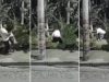 El momento en que un hombre agrede e intenta secuestrar a una mujer en el Estado de México