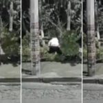 El momento en que un hombre agrede e intenta secuestrar a una mujer en el Estado de México