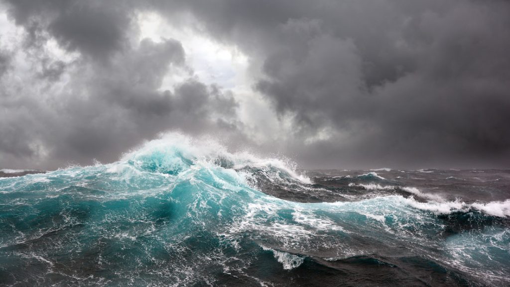 La ONU llega a un histórico acuerdo para proteger la alta mar