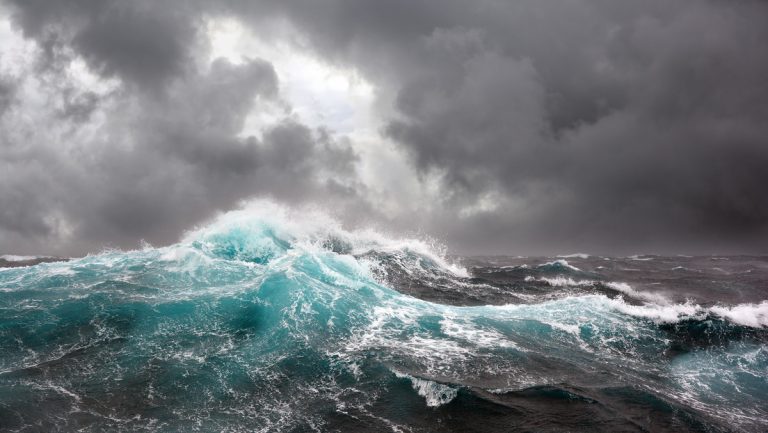La ONU llega a un histórico acuerdo para proteger la alta mar