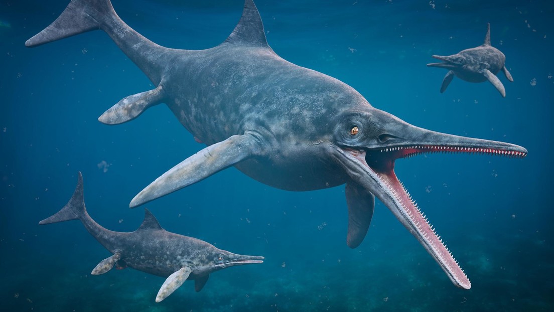Los restos de un ictiosaurio 'demasiado' antiguo sitúan su origen antes de los dinosaurios