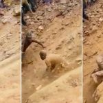 VIDEO: Nueve personas salen de una mina de oro colapsada en República Democrática del Congo