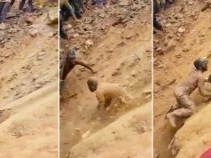 VIDEO: Nueve personas salen de una mina de oro colapsada en República Democrática del Congo