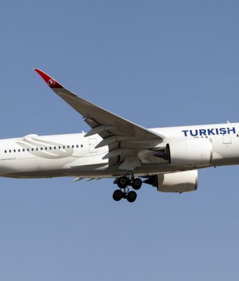 Turkish Airlines transporta a los perros rescatistas en clase business
