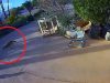 Un niño es atacado a las afueras de su casa por un coyote en EE.UU. (VIDEO)