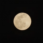 VIDEO: La 'luna de gusano' ilumina el cielo de Tokio