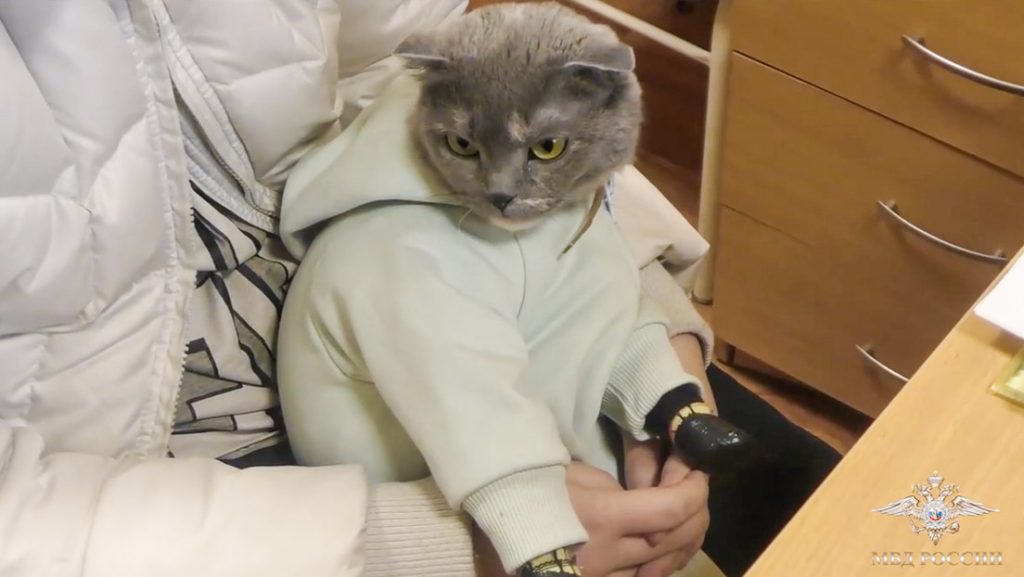 Detienen en Rusia a una mujer que ocultaba droga con un gato vestido de bebé