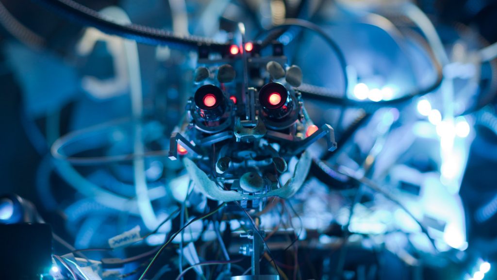 La inteligencia artificial podría ganar a los humanos en las reglas evolutivas