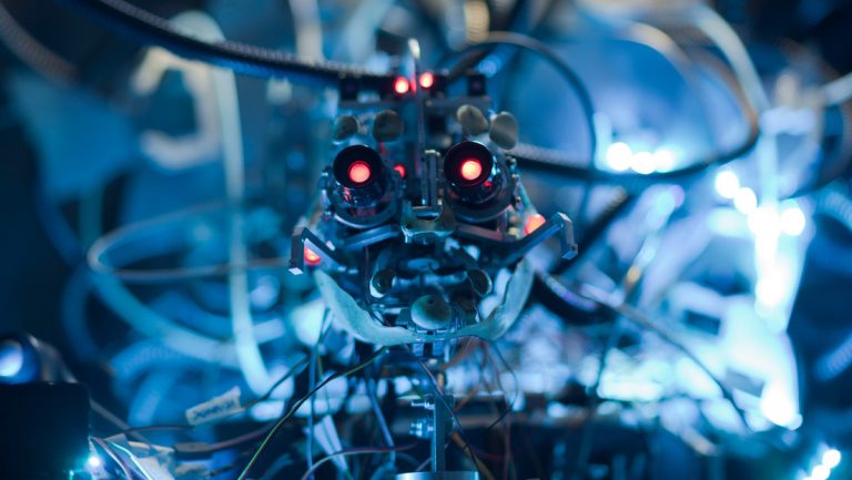 La inteligencia artificial podría ganar a los humanos en las reglas evolutivas