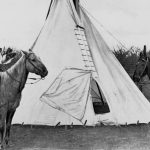 Revelan que los caballos podrían haber 'colonizado' Norteamérica antes de la llegada de españoles