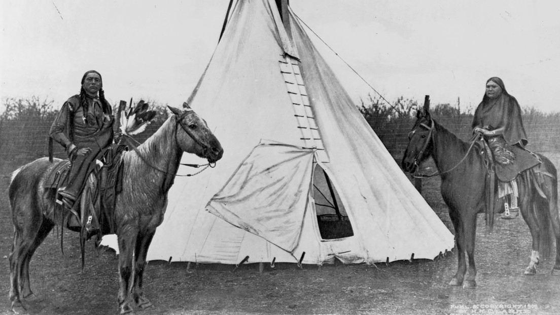 Revelan que los caballos podrían haber 'colonizado' Norteamérica antes de la llegada de españoles Revelan que los caballos podrían haber 'colonizado' Norteamérica antes de la llegada de españoles