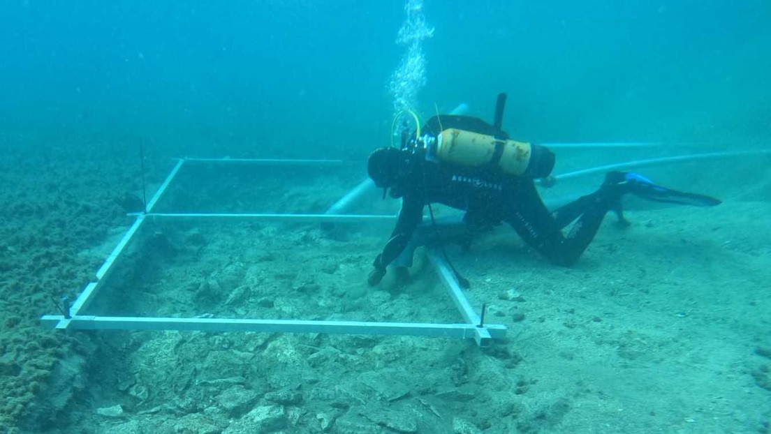 VIDEO: Un camino empedrado de hace 6.900 años es descubierto en el fondo del mar Adriático