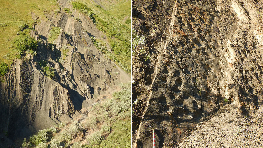 Descubren en Alaska un sitio con huellas de dinosaurios que datan de hace 70 millones de años