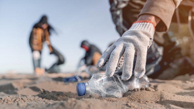 Descubren hongos que comen plástico como si fuera madera