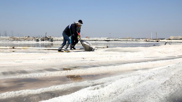 Se compran grandes cantidades de sal en China tras vertido de agua radiactiva de Fukushima al Pacífico