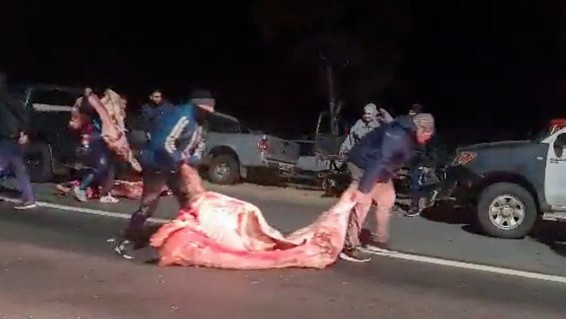 VIDEO: Decenas de personas saquean un camión cargado de carne que volcó en Argentina