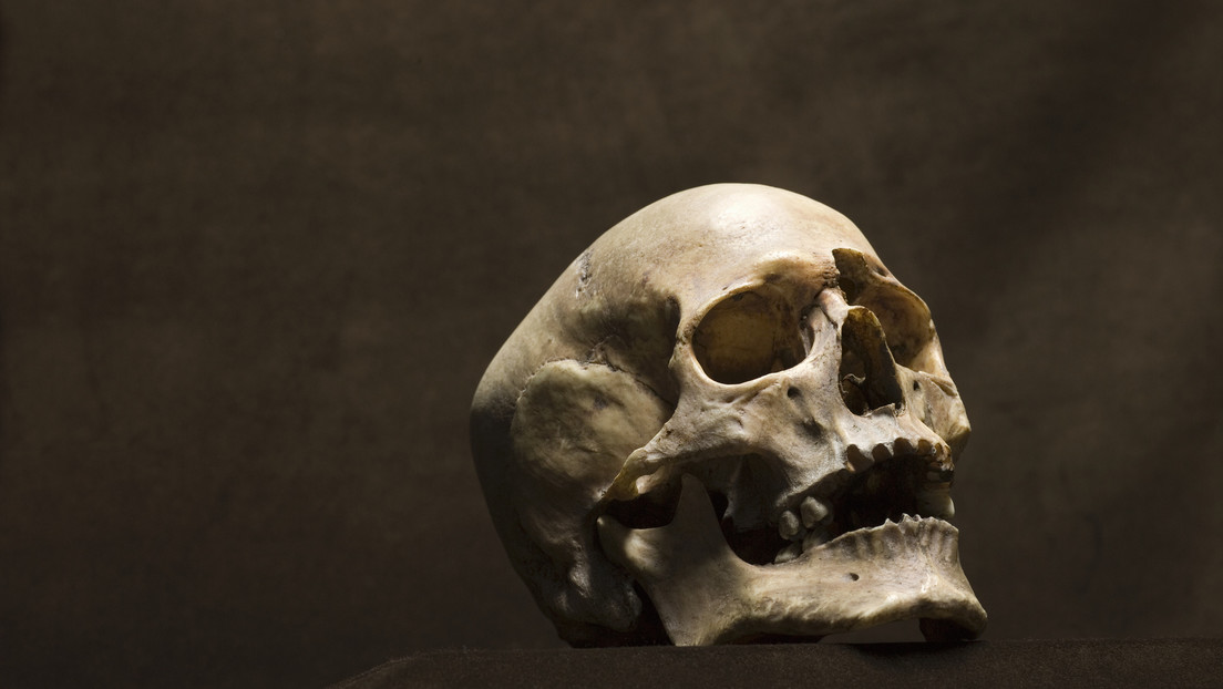 Alemania relaciona el ADN de cráneos robados en África durante la época colonial con familiares vivos