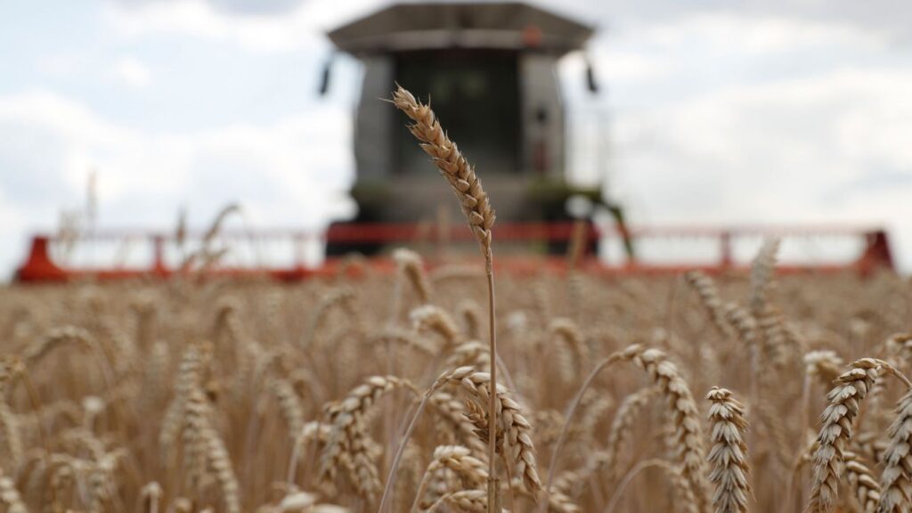Cómo la disputa agrícola agrieta las relaciones ucraniano-polacas