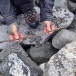 FOTOS: Descubren en Noruega una flecha de hace 4.000 años que se conservó en hielo