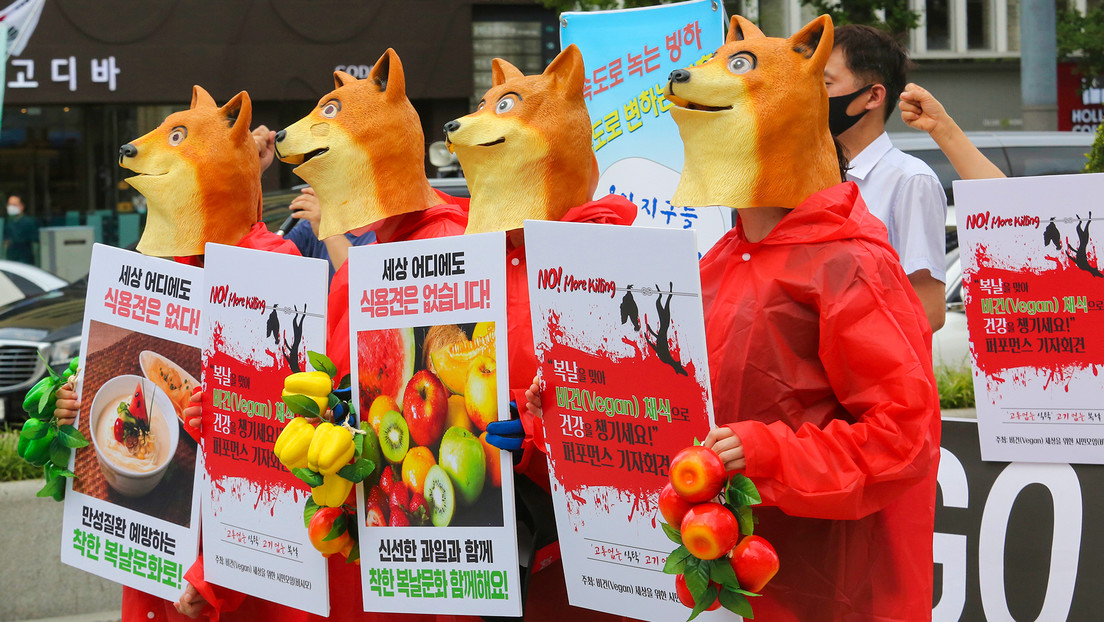 Nuevo impulso a ley que busca prohibir el consumo de carne de perro en Corea del Sur