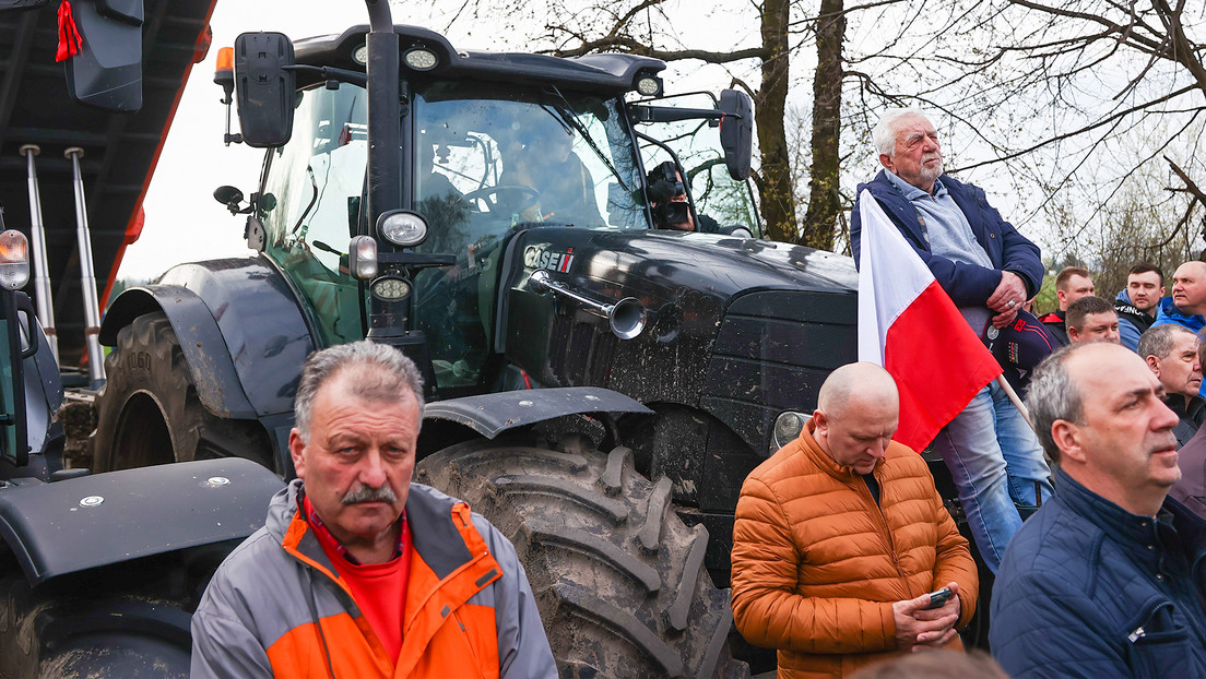 Polonia luchará por el embargo al grano ucraniano, dice el comisario europeo de Agricultura