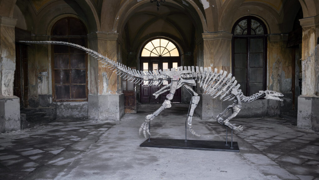 Se subastará el esqueleto del dinosaurio herbívoro Barry