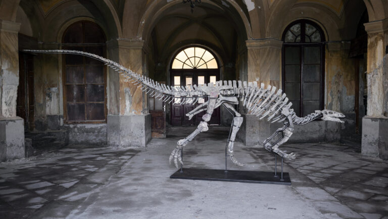 Se subastará el esqueleto del dinosaurio herbívoro Barry