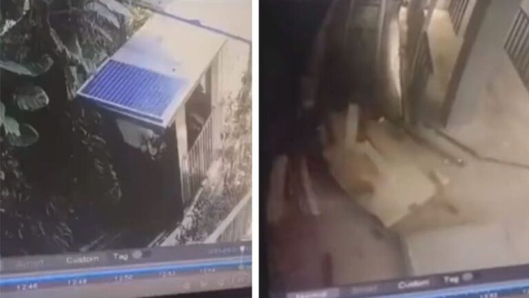 VIDEO: Cae un elevador y mueren cinco personas en un resort de Bali