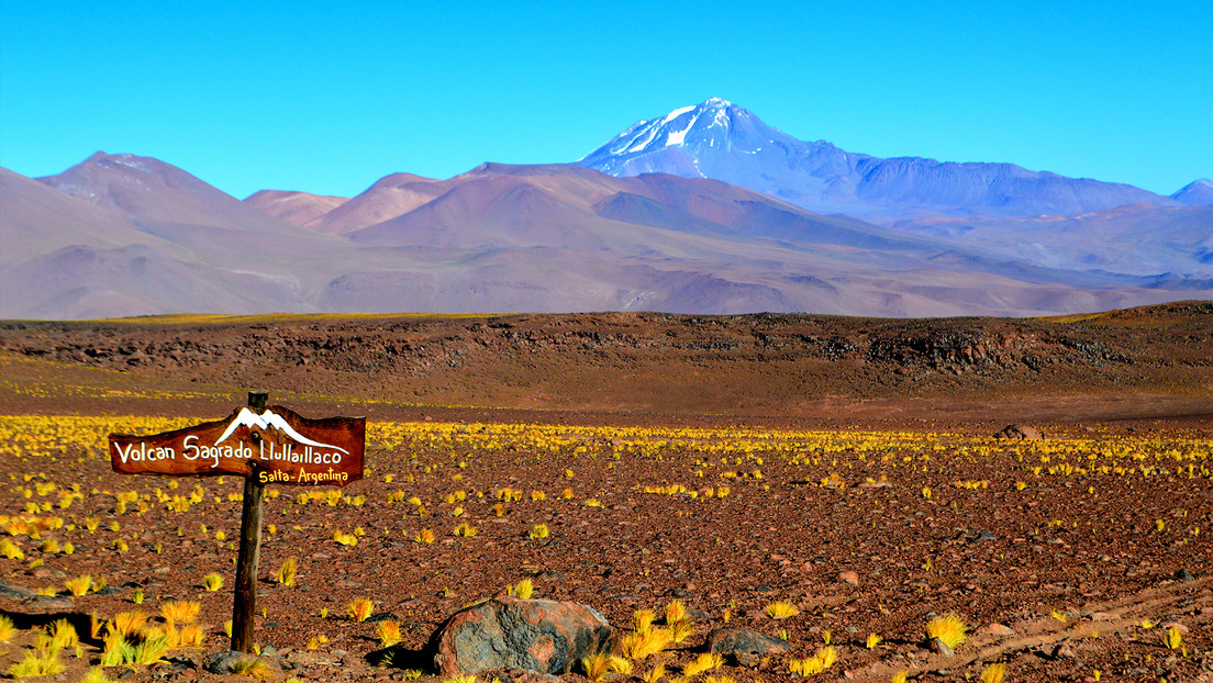 Descubren roedores momificados en volcanes andinos a 6.000 metros de altura