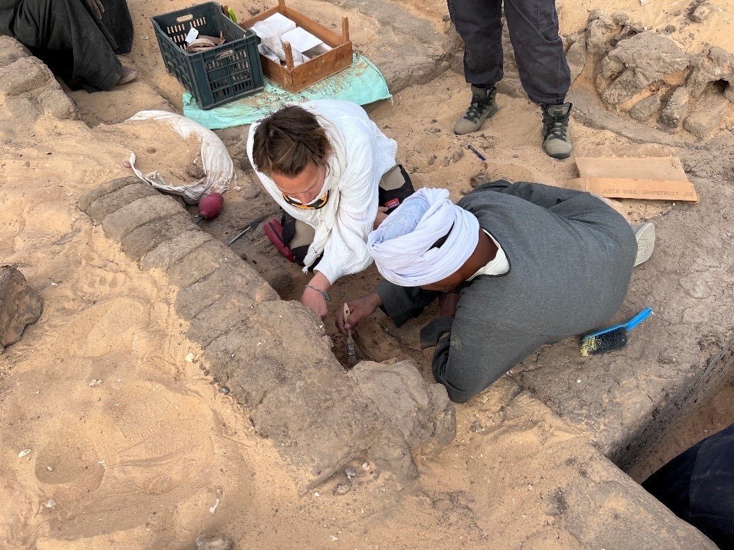 FOTOS: Descubren jarras con restos de vino de 5.000 años de antiguedad en Egipto