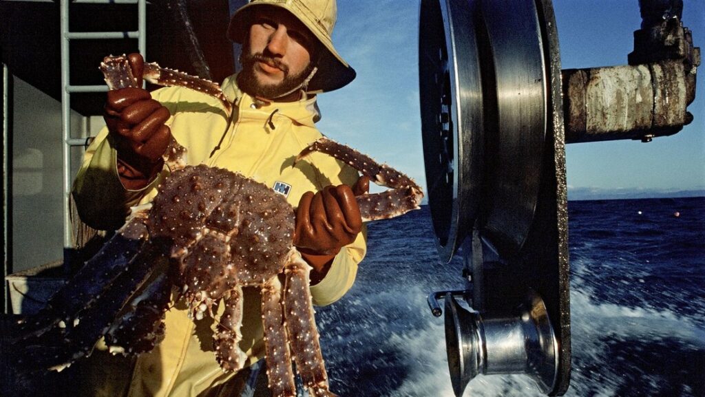 ¿Por qué desaparecieron 10.000 millones de cangrejos de las nieves en el mar de Bering?