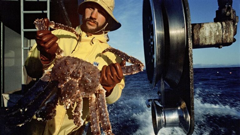 ¿Por qué desaparecieron 10.000 millones de cangrejos de las nieves en el mar de Bering?