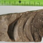 Un granjero halla armas milenarias mientras araba su campo