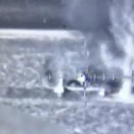 VIDEO: Israel frustra un intento de incursión marítima de "decenas de terroristas"
